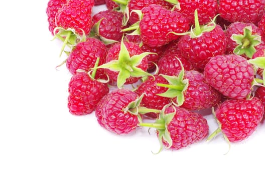 fresh raspberry closeup isolated on white background