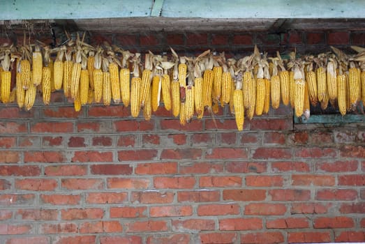 piles of corn on the walls