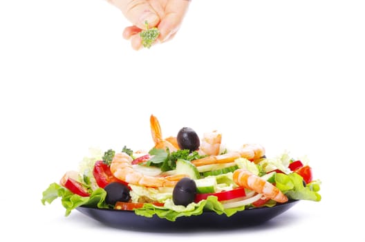 vegetable salad in plate on white