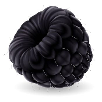 Shiny blackberry isolated on white background. Realistic llustration