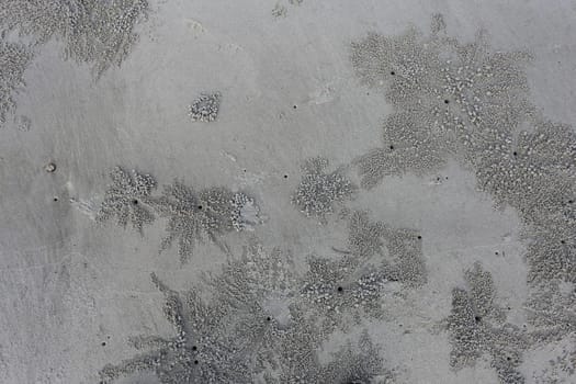 footprints in the sand