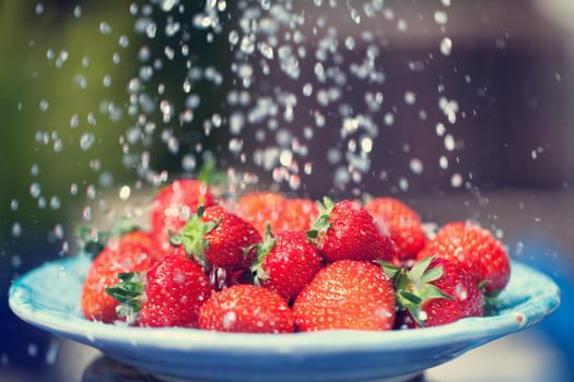 fresh ripe strawberries from the garden