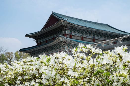 Architecture Korea,traditional Hanok-style architecture