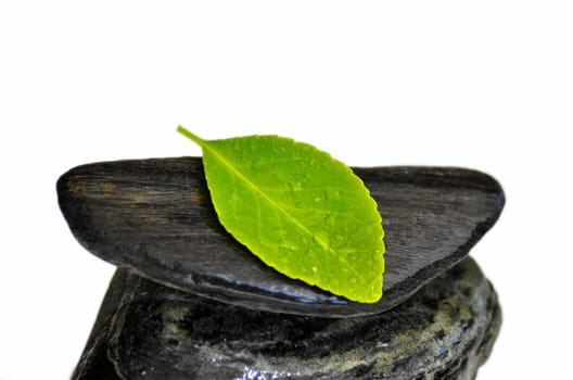 Wellness Stones Balance