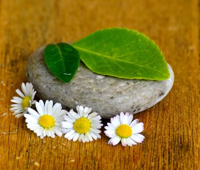 Wellness Stones Balance