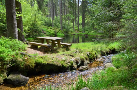 Forest Bach Plants