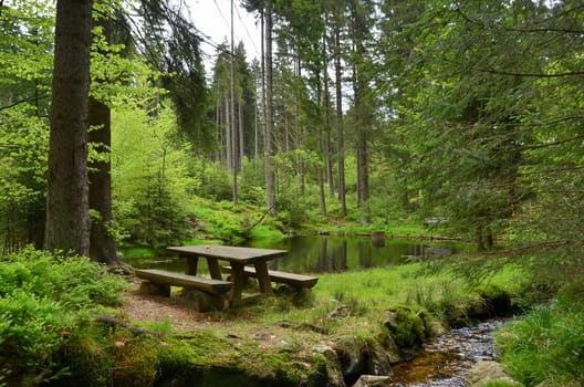 Forest Bach Plants