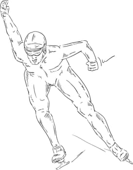 vector - speed skating - isolated on background