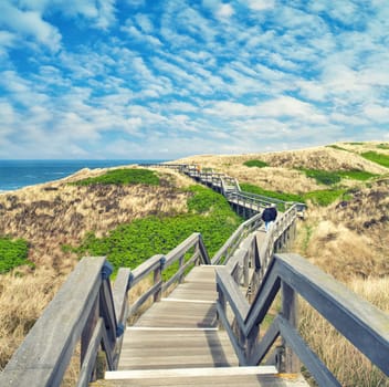 rustic wooden walkway in the dunes