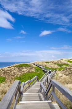 rustic wooden walkway in the dunes