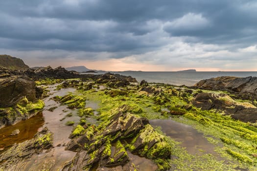 Coast of Scotland