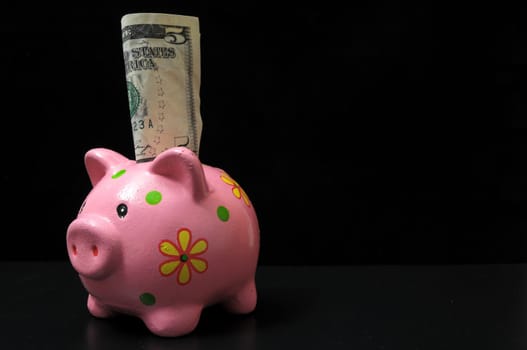 Save Money with One Pink Pig Piggy Bank