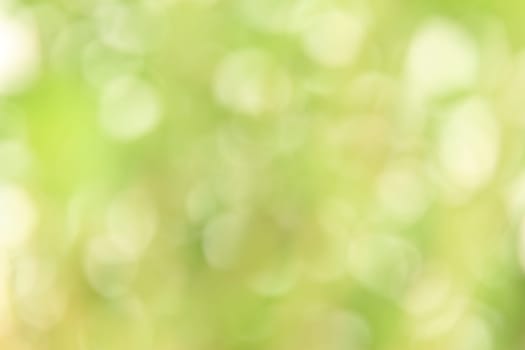 Green background