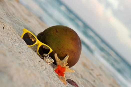holidays in paradis