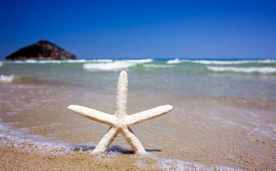 Starfish and waves on summer sunny beach