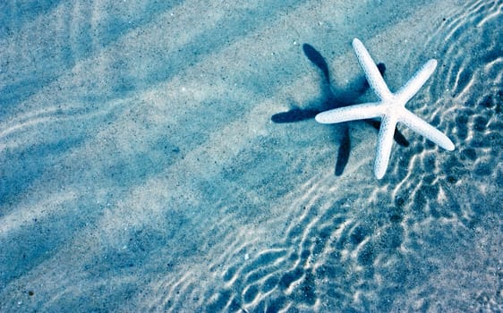 Starfish and waves on summer sunny beach