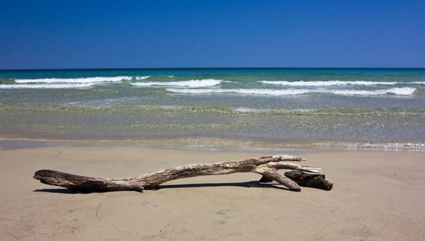 Beautiful sandy beach in Thassos island