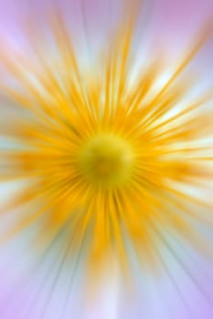 The abstract photograph of a flower.