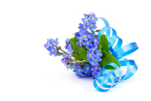 forget me not flowers