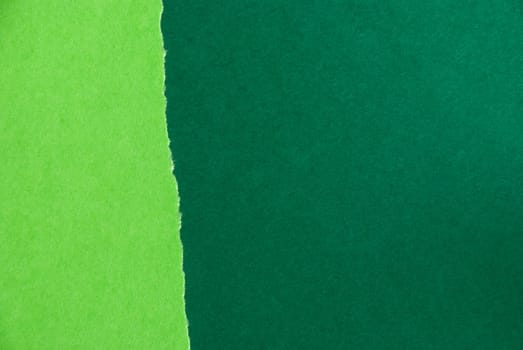 A Light and Dark Green Paper Texture, Spring or Summer Background