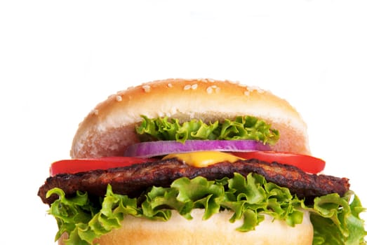 A Tasty Hamburger with Salad and Tomato, Isolated