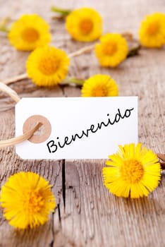 Yellow Flowers with the Spanish Word Bienvenido which means Welcome