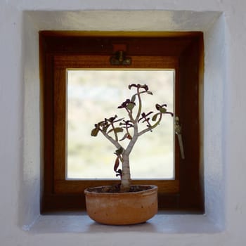 Interior shots of a small safari hut