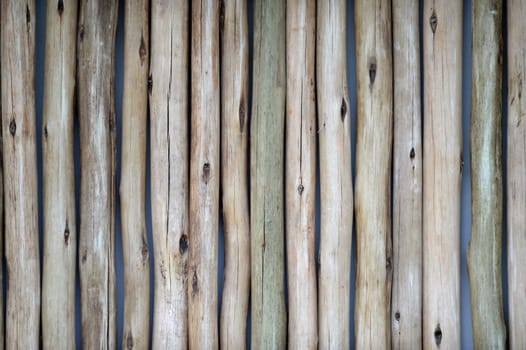A close up shot of a wooden privacy screen