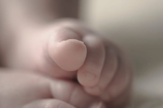 Close up of baby girls' sweet little feet