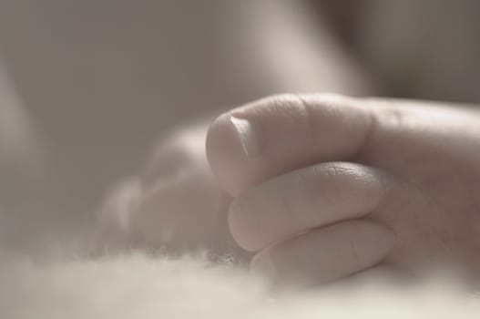 Close up of baby girls' sweet little feet