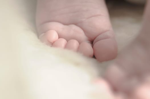 Close up of baby girls' sweet little feet