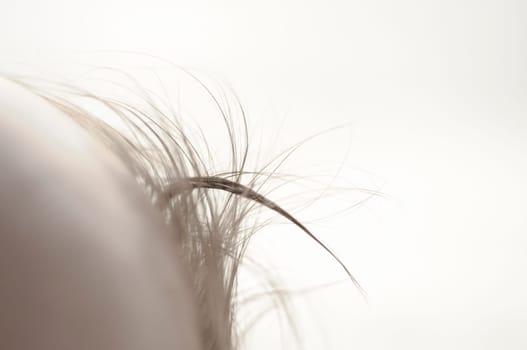 Close up of baby girls' strand of hair