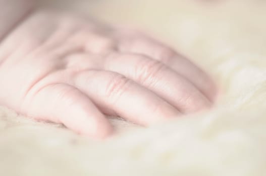 Close up of baby girls' sweet little hand and fingers