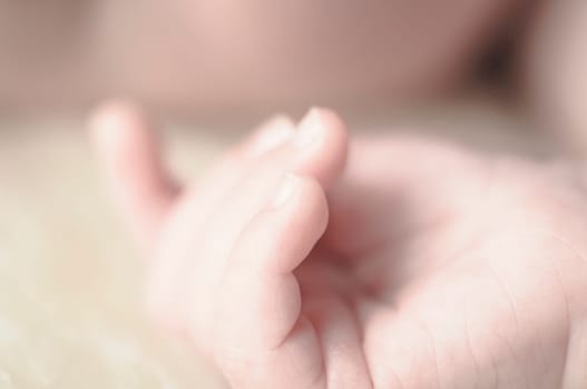 Close up of baby girls' sweet little hand and fingers