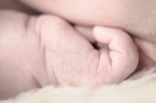 Close up of baby girls' sweet little hand and fingers