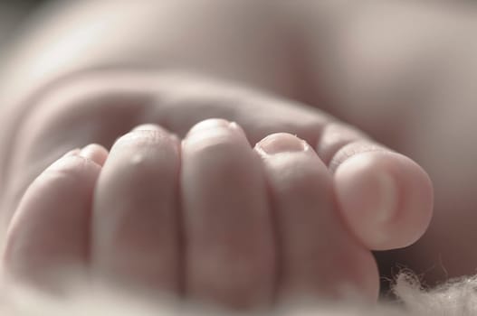 Close up of baby girls' sweet little hand and fingers