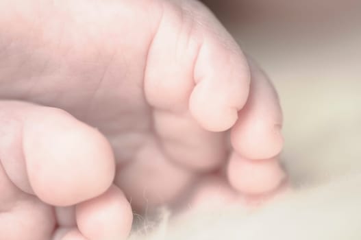 Close up of baby girls' sweet little feet