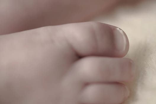 Close up of baby girls' sweet little feet
