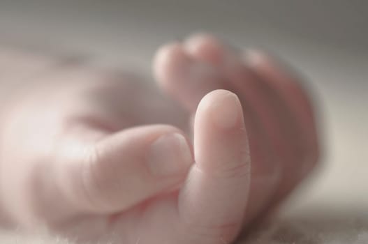 Close up of baby girls' sweet little hand and fingers