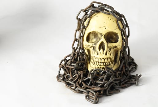 Skull and old Chains on a White Background