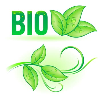 Green Bio word with leaf decorative elements on white background
