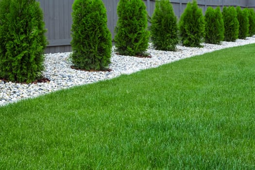 Backyard with fresh green grass