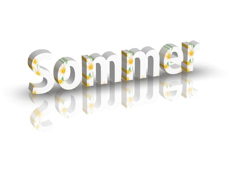 Spring/Summer