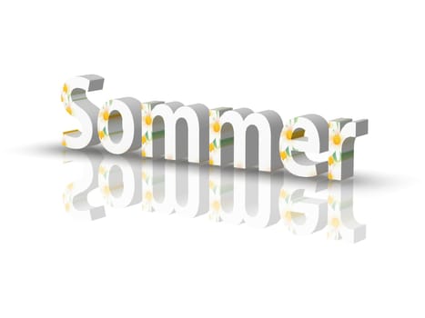 Spring/Summer