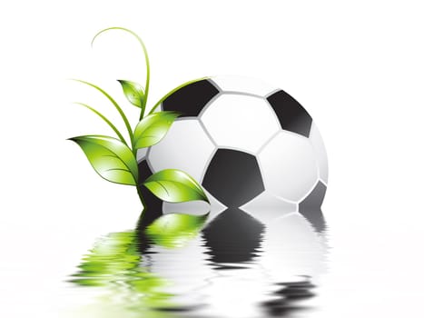 Football wm
