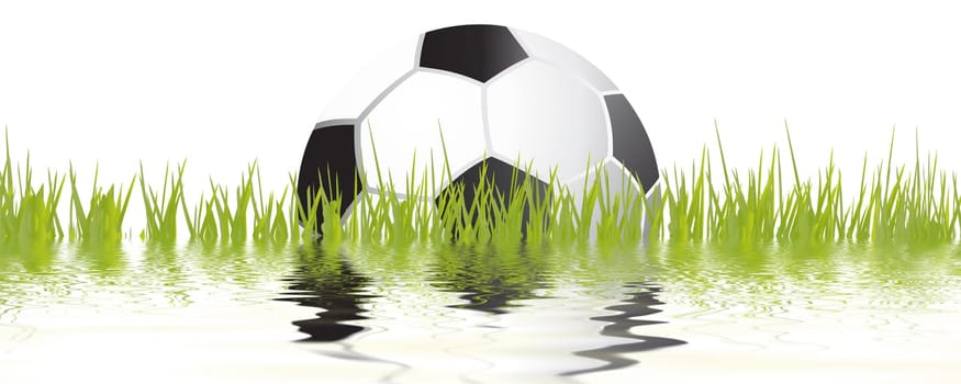 Football wm