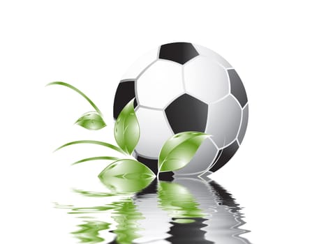 Football wm