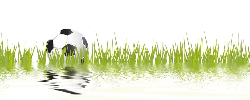 Football wm