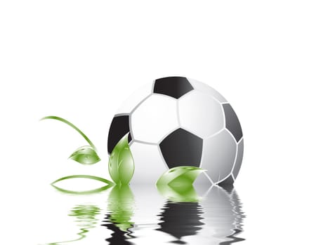 Football wm