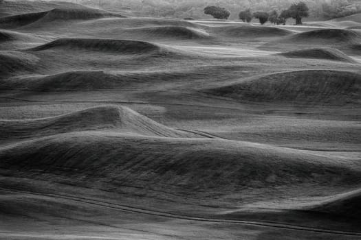 BW golf course for adv or others purpose use
